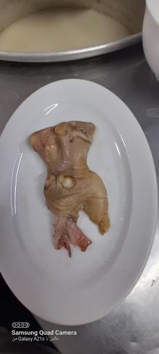 عکس طباخی وجگر سرای تهران پز