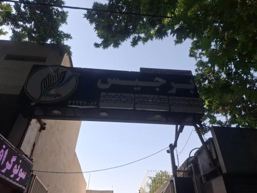 عکس تصویربرداری پزشکی برجیس