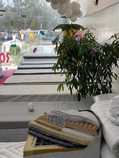 عکس تشک رویال اصل