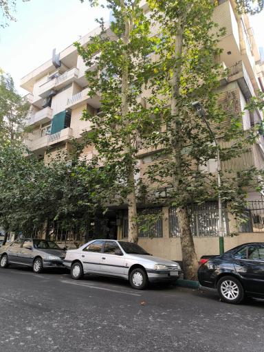 عکس رادیولوژی و سونوگرافی نگاه