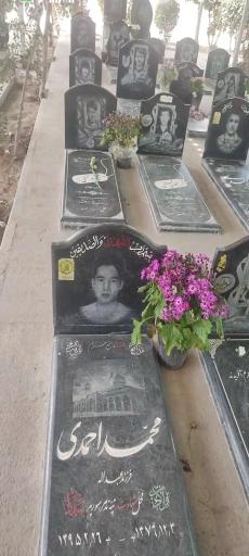 عکس مزار شهدای لشکر فاطمیون