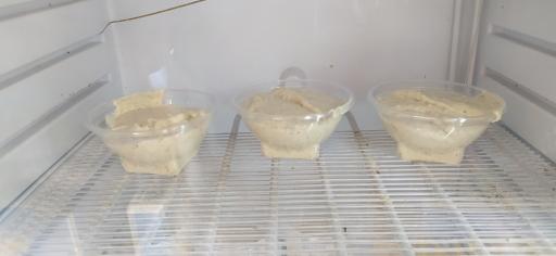 عکس ویتامینه علیرضا شعبه کوروش (سندباد سابق)