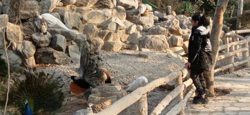 عکس فولادشهر