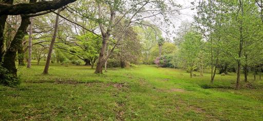 عکس باغ گیاهشناسی (اکولوژی) نوشهر