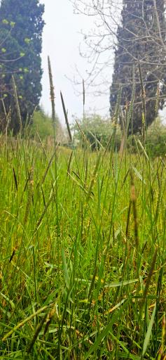 عکس باغ گیاهشناسی (اکولوژی) نوشهر