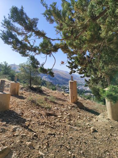 عکس چهار ستون