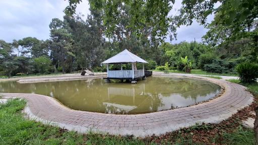 عکس باغ گیاهشناسی (اکولوژی) نوشهر