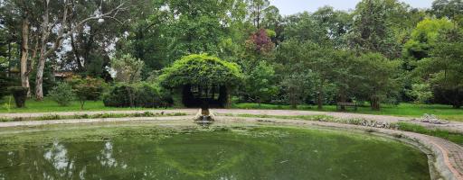 عکس باغ گیاهشناسی (اکولوژی) نوشهر