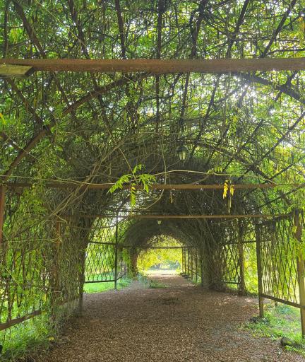 عکس باغ گیاهشناسی (اکولوژی) نوشهر