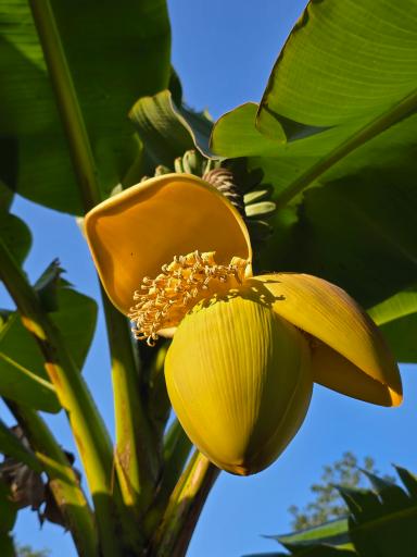 عکس باغ گیاهشناسی (اکولوژی) نوشهر