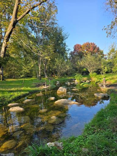 عکس باغ گیاهشناسی (اکولوژی) نوشهر