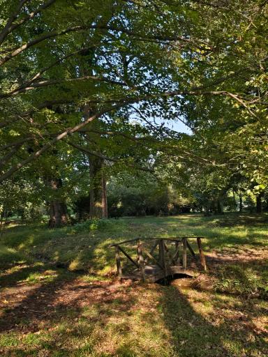 عکس باغ گیاهشناسی (اکولوژی) نوشهر