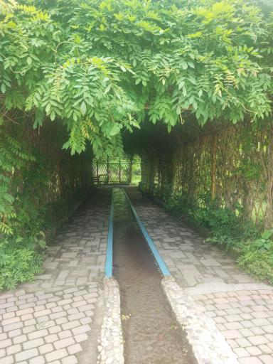 عکس باغ گیاهشناسی (اکولوژی) نوشهر