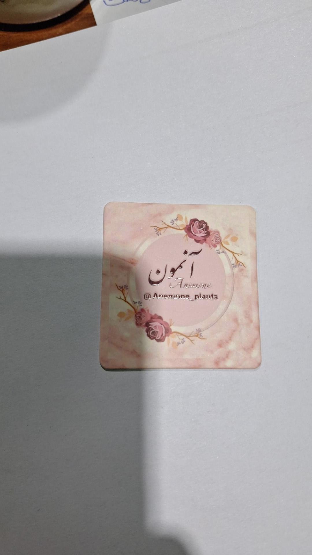 عکس گل و گیاه آنمون 