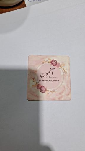 عکس گل و گیاه آنمون 