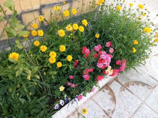 عکس اقامتگاه بومگردی سیکان