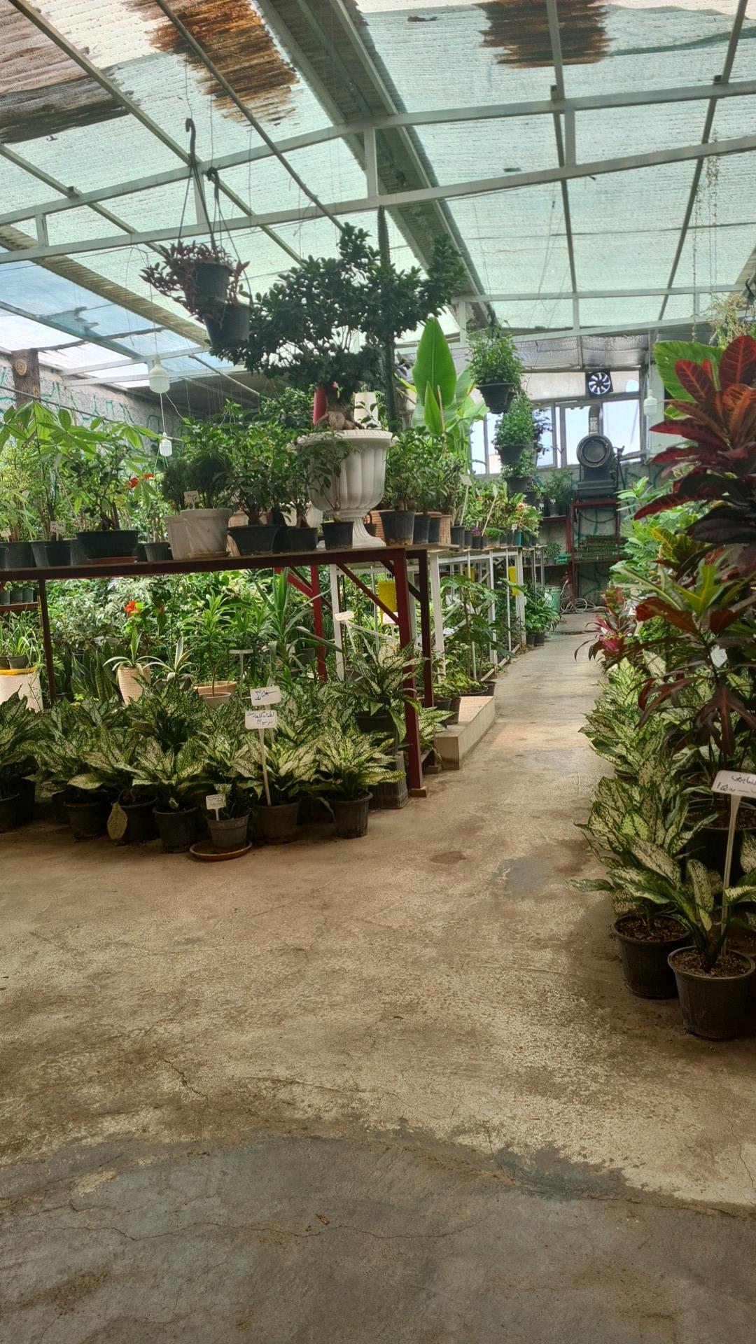 عکس گلخانه هزار غنچه