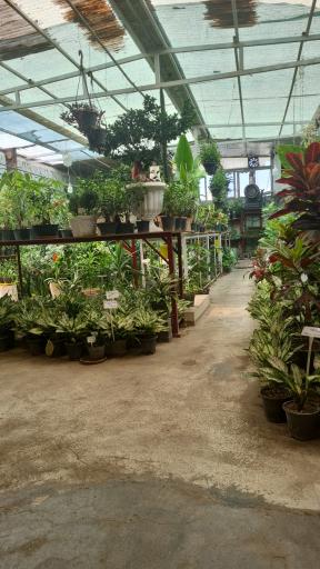 عکس گلخانه هزار غنچه