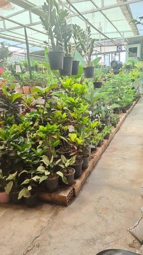 عکس گلخانه هزار غنچه