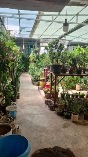 عکس گلخانه هزار غنچه