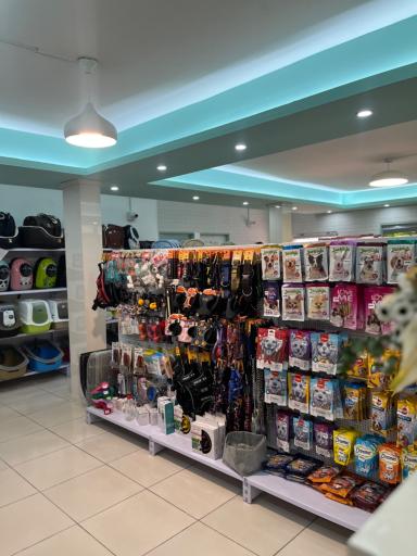 عکس کلینیک دامپزشکی آیری