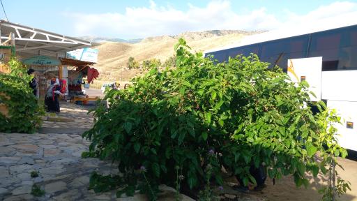 عکس اقامتگاه بومگردی سیکان