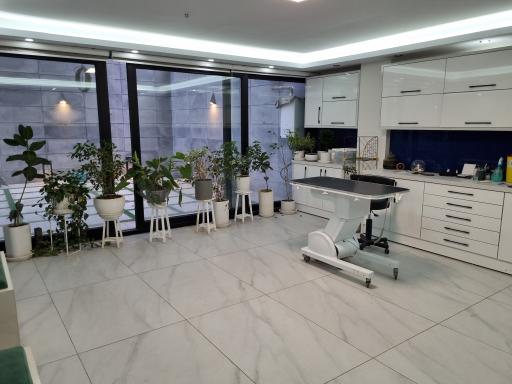 عکس کلینیک دامپزشکی آیری
