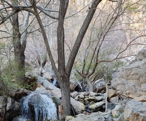 عکس آبشار چرمهین (شاهلولاک)