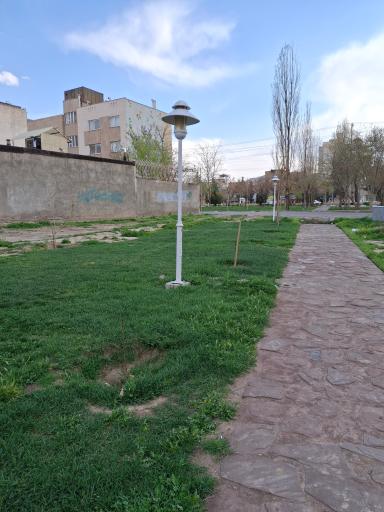 عکس خَطی فکوری