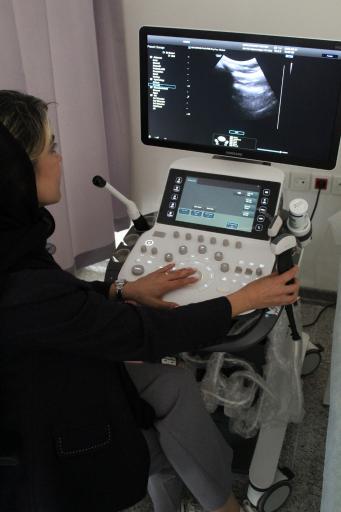 عکس رادیولوژی و سونوگرافی شیوا