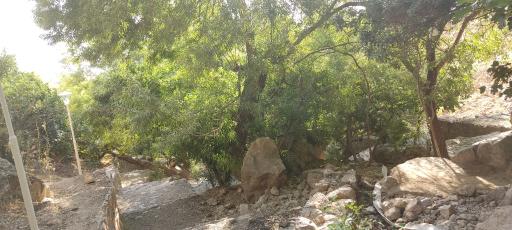 عکس آبشار چرمهین (شاهلولاک)