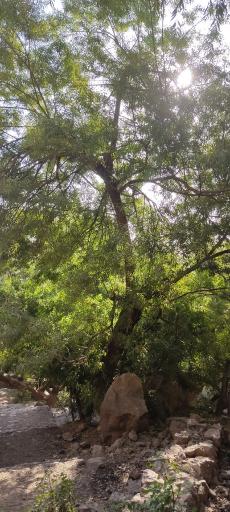 عکس آبشار چرمهین (شاهلولاک)