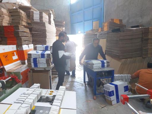 پارس کارتن یحیائی