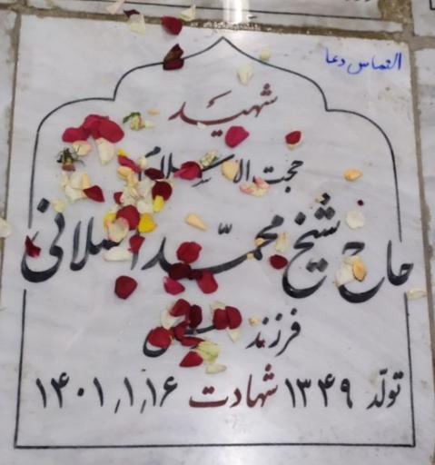 عکس بهشت ثامن الائمه 3