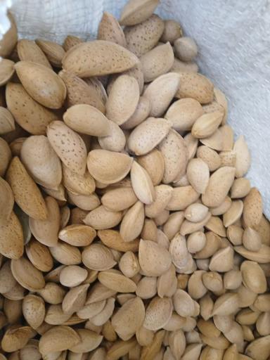 عکس شرکت آسیا کشت آویژه سهامی (عام)