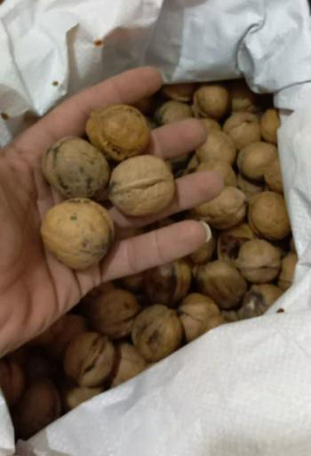 عکس شرکت آسیا کشت آویژه سهامی (عام)