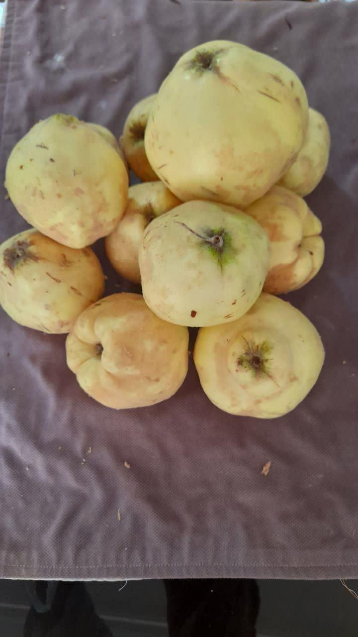 عکس شرکت آسیا کشت آویژه سهامی (عام)