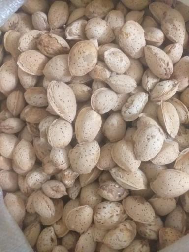 عکس شرکت آسیا کشت آویژه سهامی (عام)