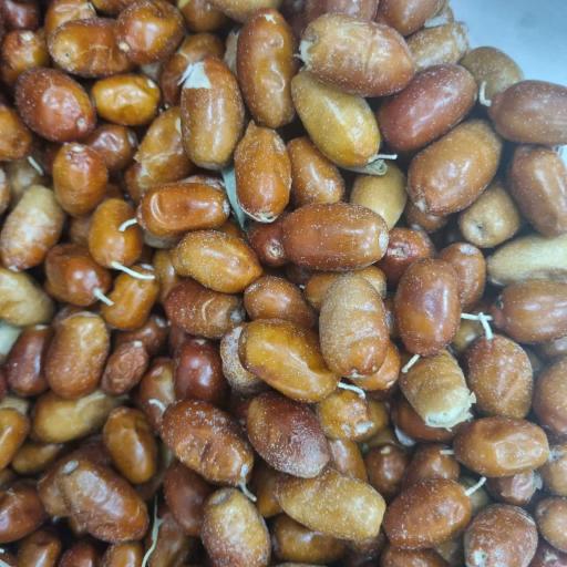 عکس شرکت آسیا کشت آویژه سهامی (عام)