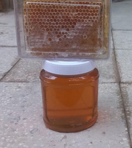 عکس شرکت آسیا کشت آویژه سهامی (عام)