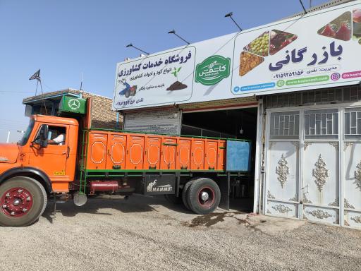 عکس شرکت نهاده های سبز ترشیز (کاشمش)