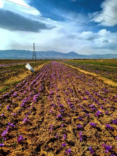 عکس نصرآباد