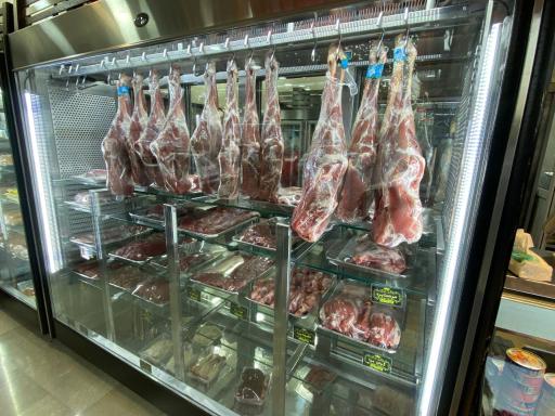 عکس پروتئین مصطفی