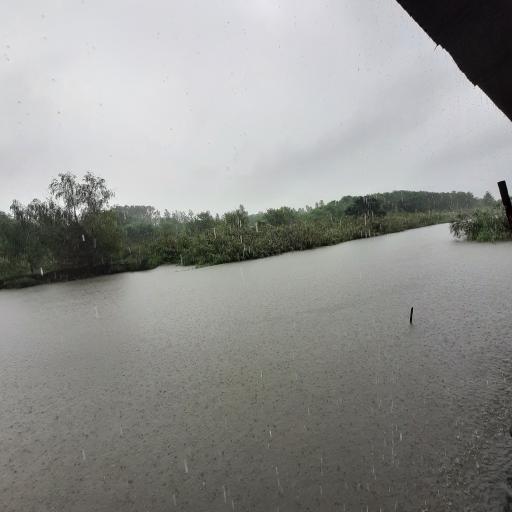 عکس رستوران نگین مرداب