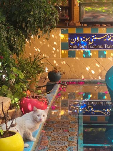 عکس هتل سنتی نیایش شیراز