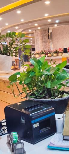 عکس رستوران استاد خانی (شعبه ۲)