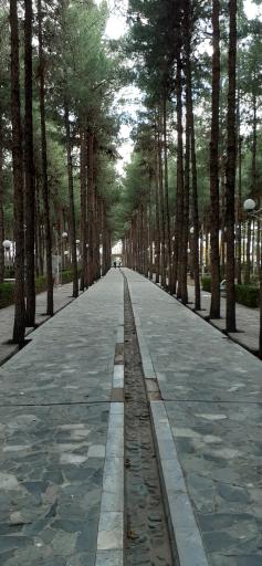 عکس بوستان خانواده