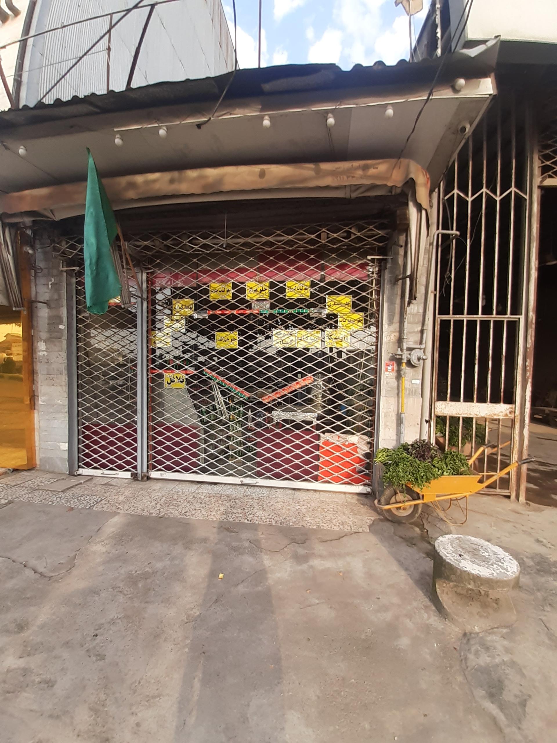 عکس ساندویچی علی