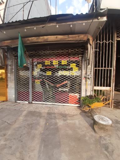 عکس ساندویچی علی