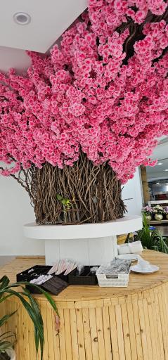 عکس رستوران استاد خانی (شعبه ۲)